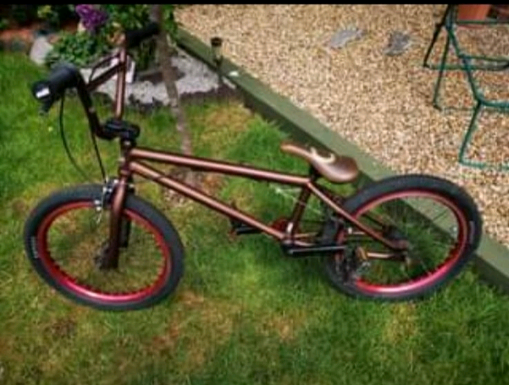 mongoose chamber